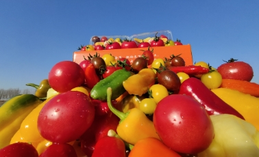 哲思 | ?認(rèn)知的四個層次，讀懂改變一生