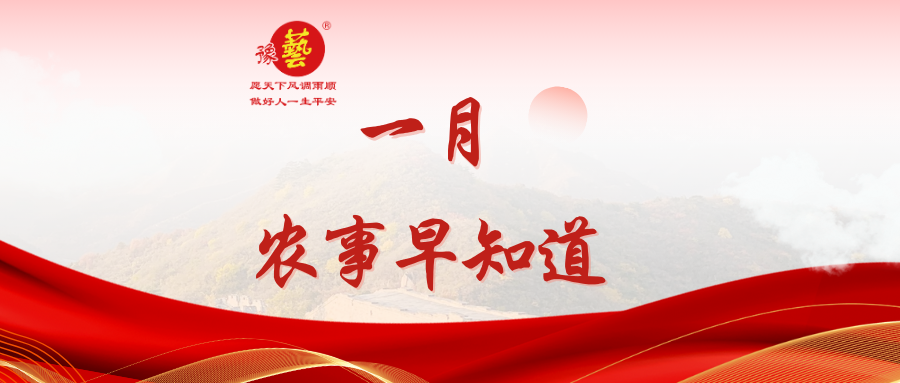 【種瓜種菜早知道】一月農(nóng)事安排